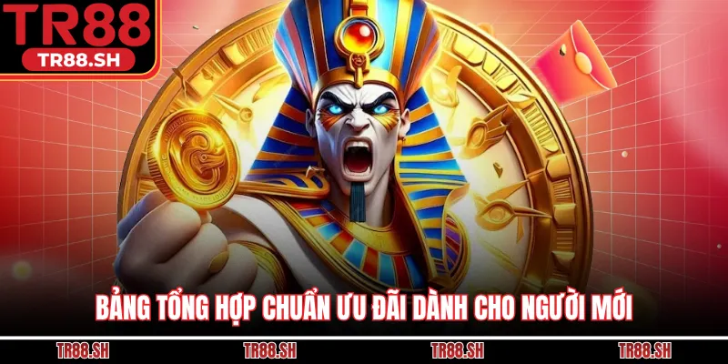 Bảng tổng hợp chuẩn ưu đãi dành cho người mới