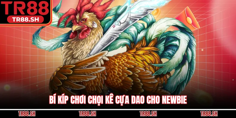 Bí kíp chơi chọi kê cựa dao cho newbie