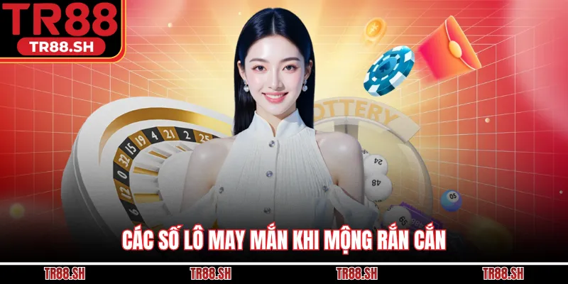 Các số lô may mắn khi mộng rắn cắn