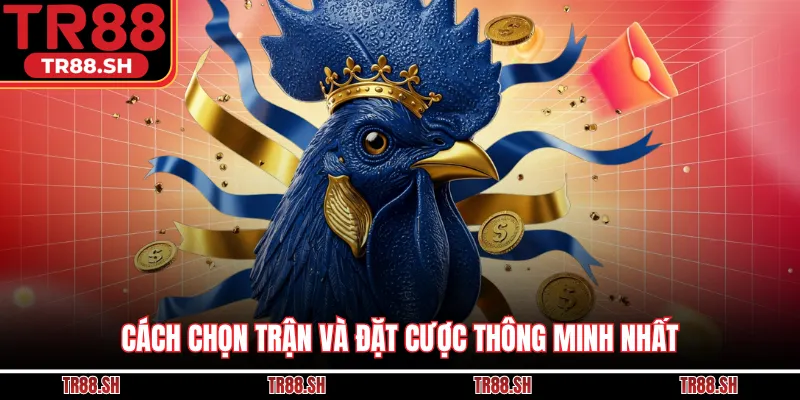 Cách chọn trận và đặt cược thông minh nhất