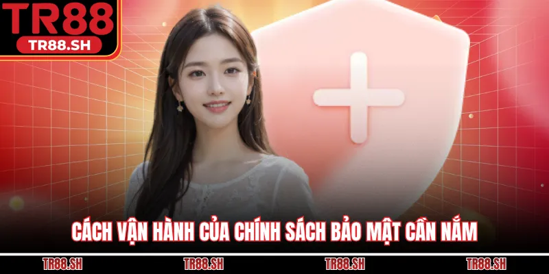 Cách vận hành của chính sách bảo mật cần nắm