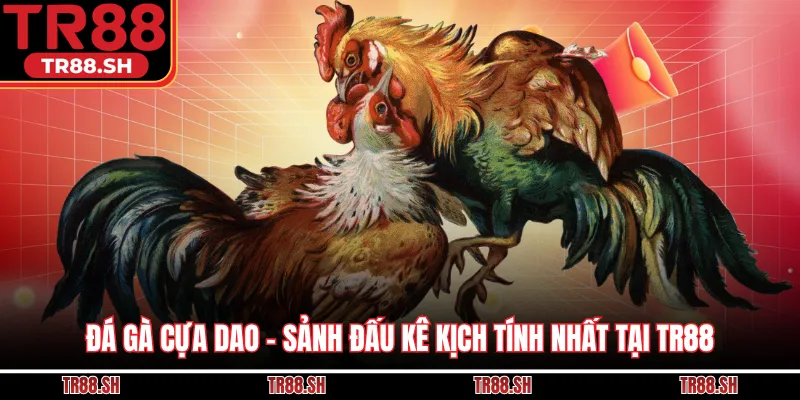 Đá Gà Cựa Dao - Sảnh Đấu Kê Kịch Tính Nhất Tại TR88