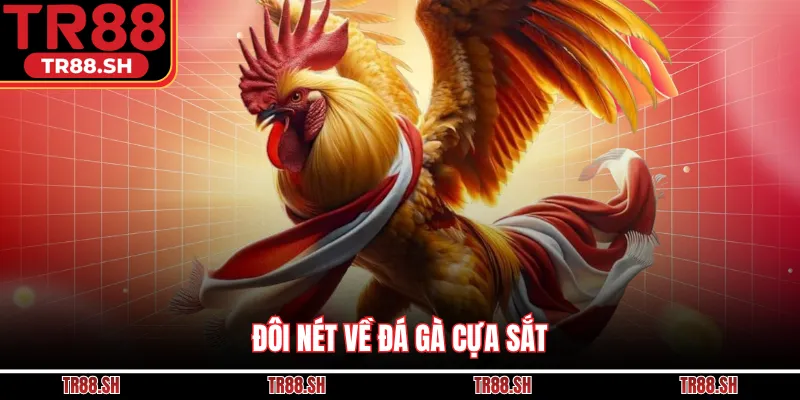 Đôi nét về đá gà cựa sắt
