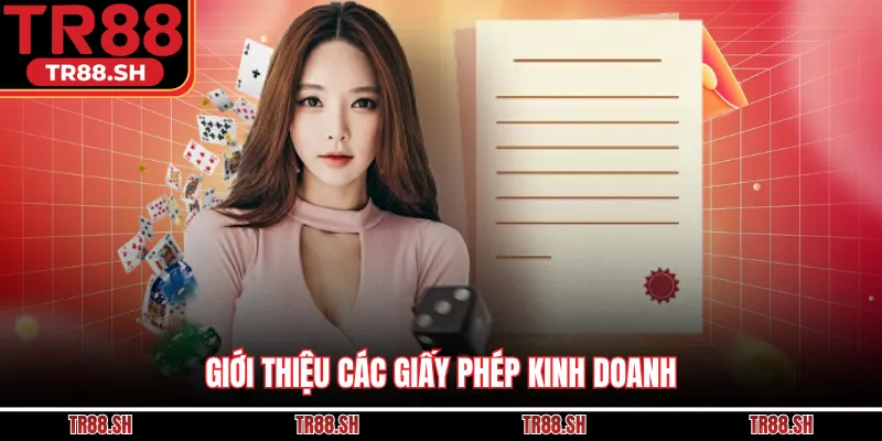 Giới thiệu các giấy phép kinh doanh
