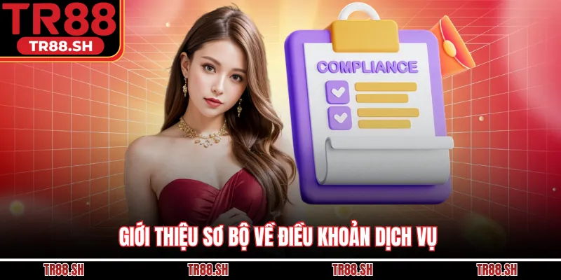 Giới thiệu sơ bộ về điều khoản dịch vụ
