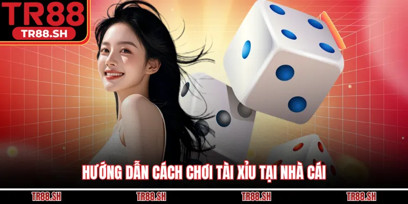 Hướng dẫn cách chơi tài xỉu tại nhà cái