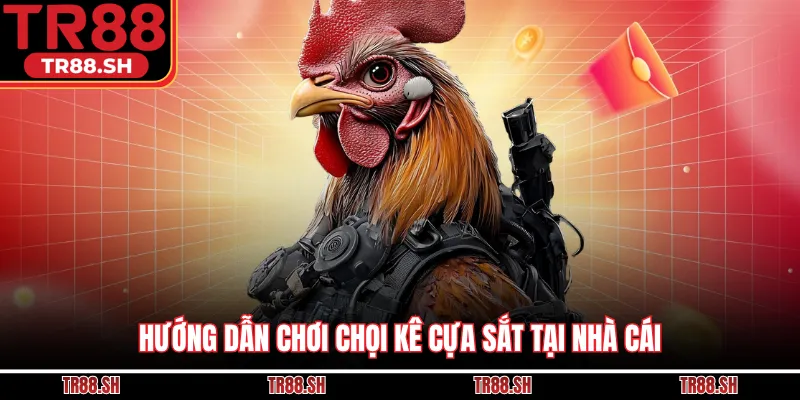 Hướng dẫn chơi chọi kê cựa sắt tại nhà cái