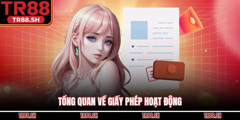 Tổng quan về giấy phép hoạt động